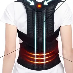 Back Price slash Trainer Friendly assistance Comfortable Support Posture for Eureka