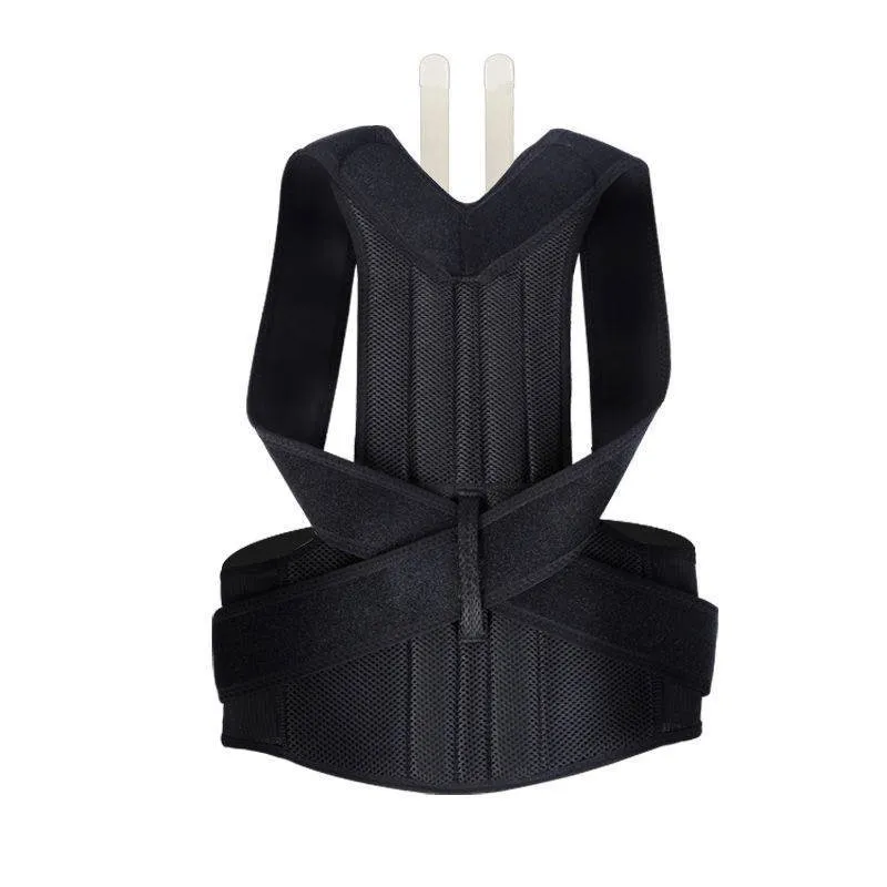 Back Price slash Trainer Friendly assistance Comfortable Support Posture for Eureka