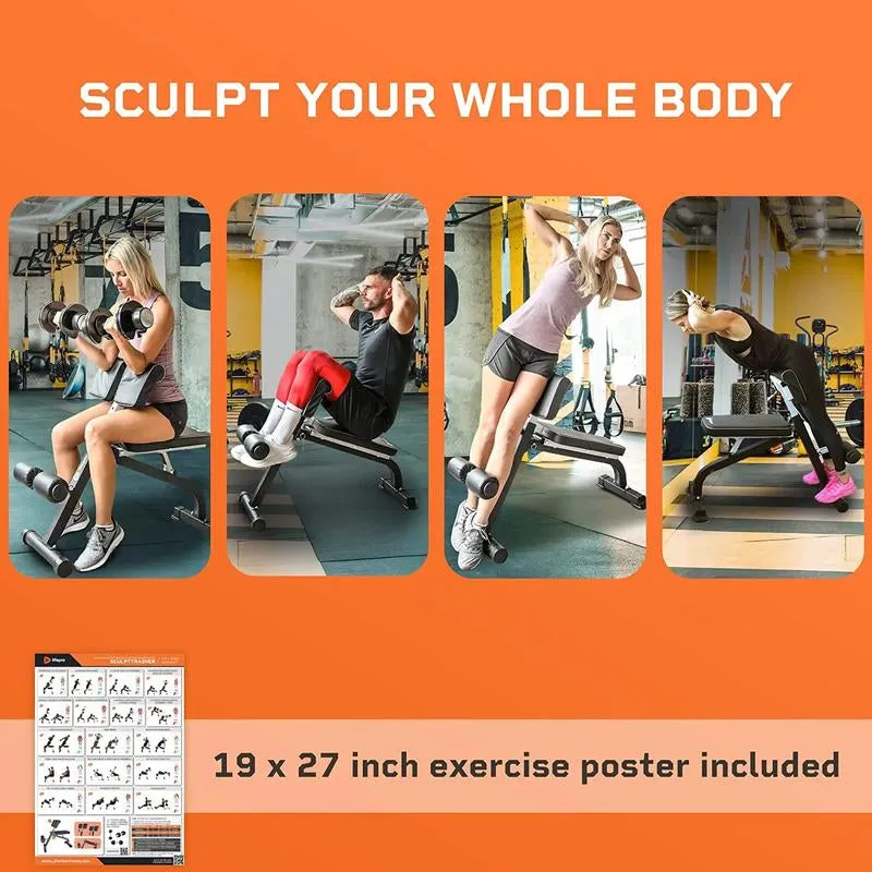 Chair: & Glute Core Lifepro Extension Hamstrings Refund policy and Roman Workouts Bench Versatile for Adjustable Back
