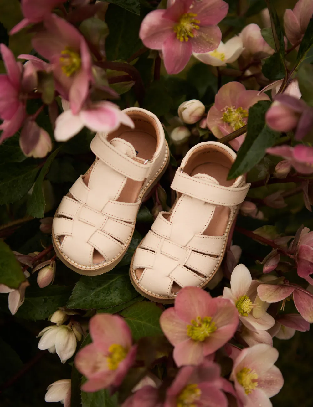 Classic Sandal - Cream
