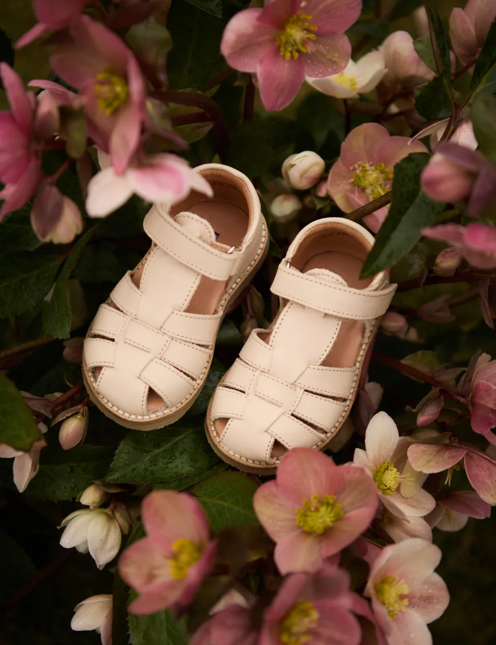 Classic Sandal - Cream