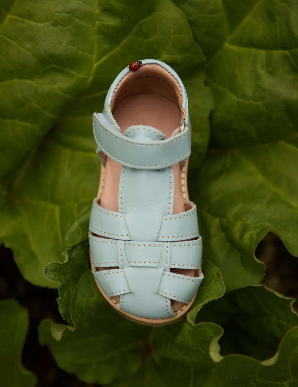 Classic Sandal - Ocean