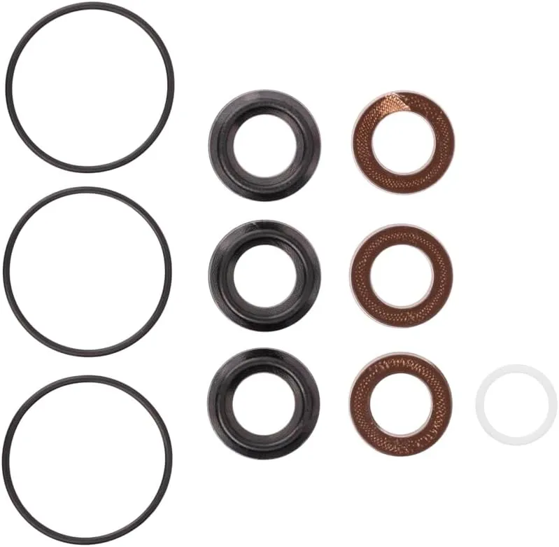 Kit 153 General Pump Compatible OEM Replacement Seal Packing Kit for General Pump EZ Series, Made in Italy, Exceed OEM Standards