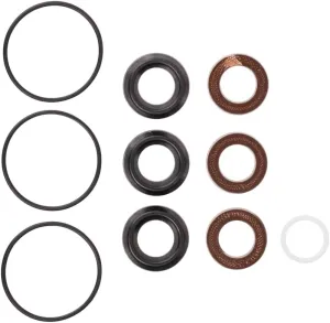 Kit 153 General Pump Compatible OEM Replacement Seal Packing Kit for General Pump EZ Series, Made in Italy, Exceed OEM Standards