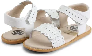 Livie & Luca POSEY CLASSIC Sandal