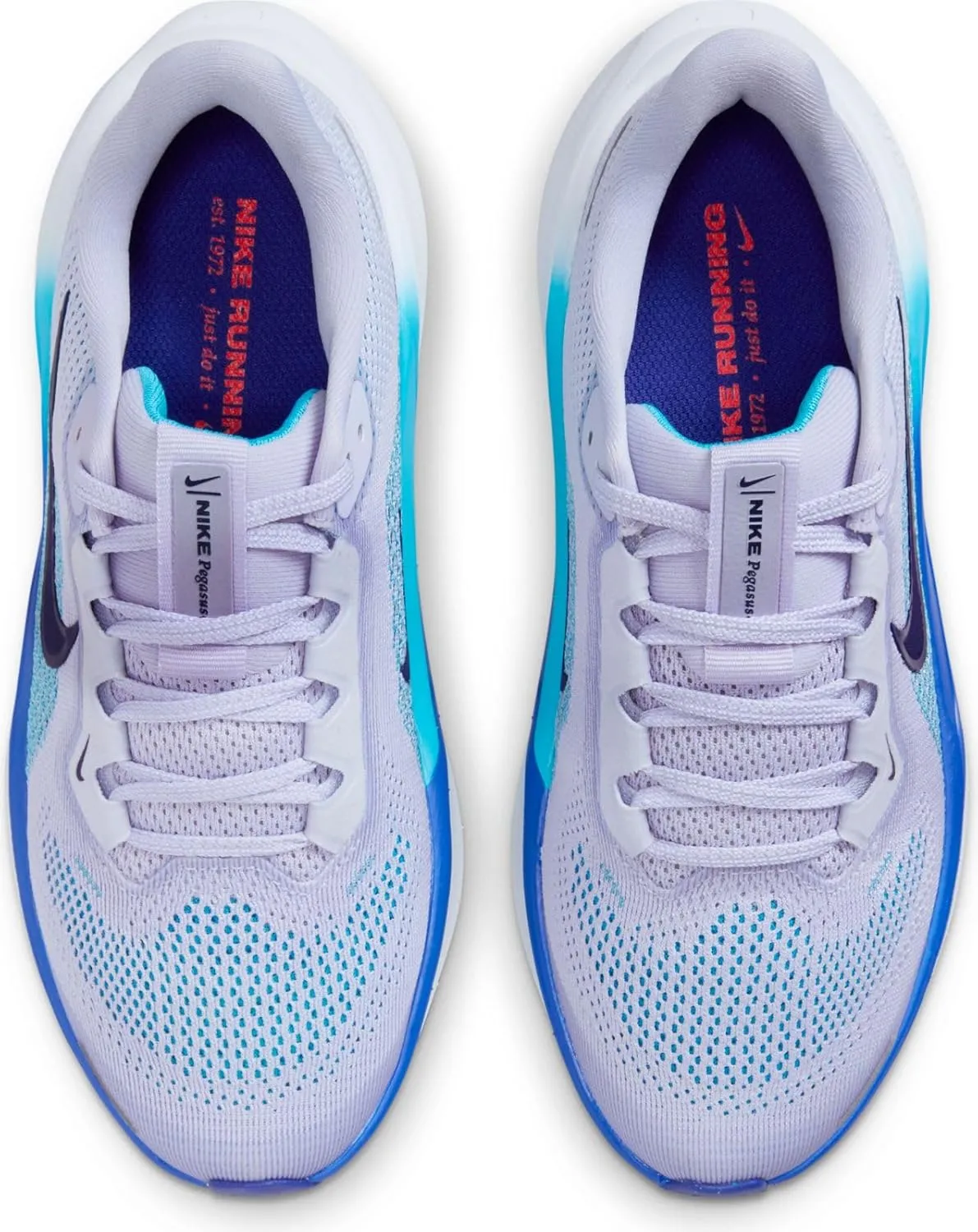 Nike Unisex-Child Pegasus 41 (Little Big Kid) Sneaker