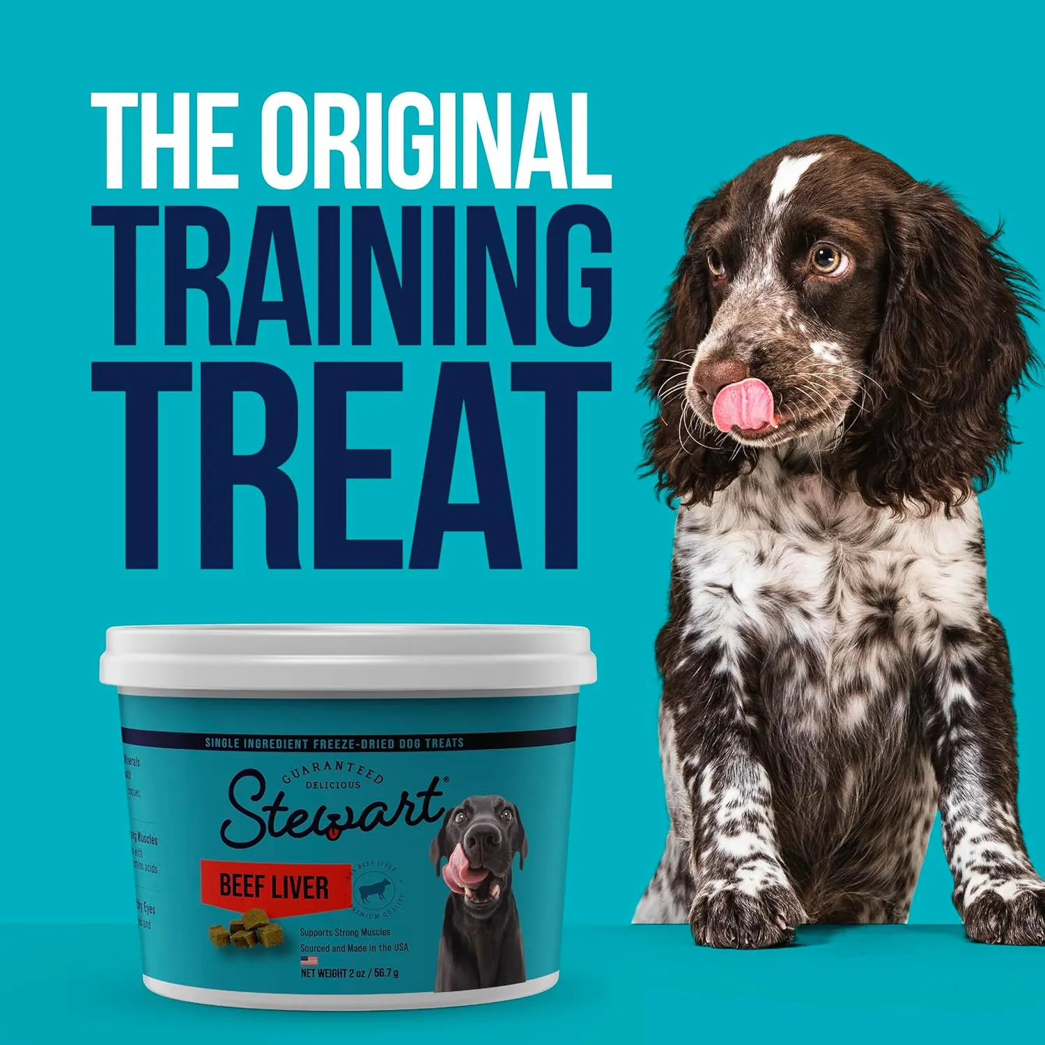 Stewart Single Ingredient Freeze Dried Raw Dog Treats, Beef Liver, 21 Ounce Value Size Resealable Tub, Training Treats or Meal Topper for All Size Dogs, High Protein, Grain-Free, Gluten-Free