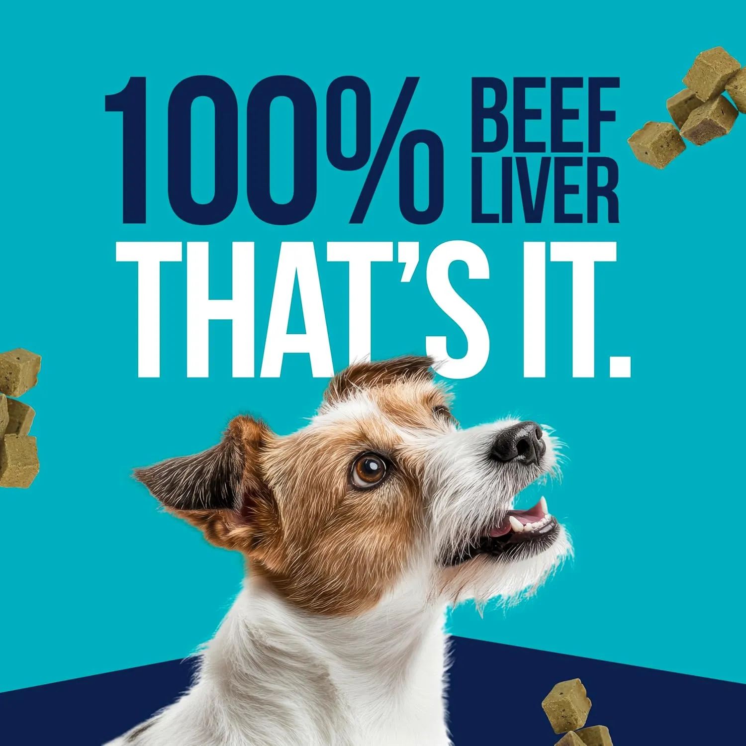 Stewart Single Ingredient Freeze Dried Raw Dog Treats, Beef Liver, 21 Ounce Value Size Resealable Tub, Training Treats or Meal Topper for All Size Dogs, High Protein, Grain-Free, Gluten-Free