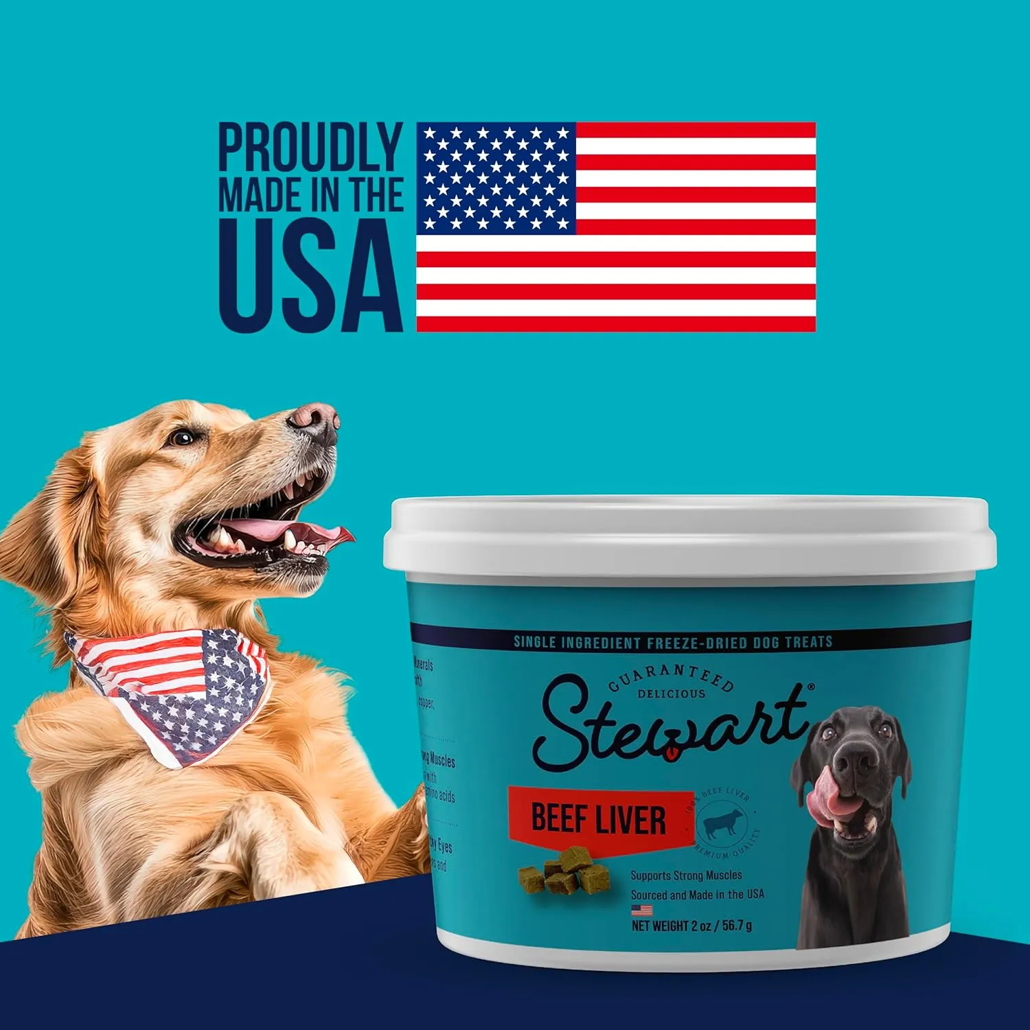 Stewart Single Ingredient Freeze Dried Raw Dog Treats, Beef Liver, 21 Ounce Value Size Resealable Tub, Training Treats or Meal Topper for All Size Dogs, High Protein, Grain-Free, Gluten-Free