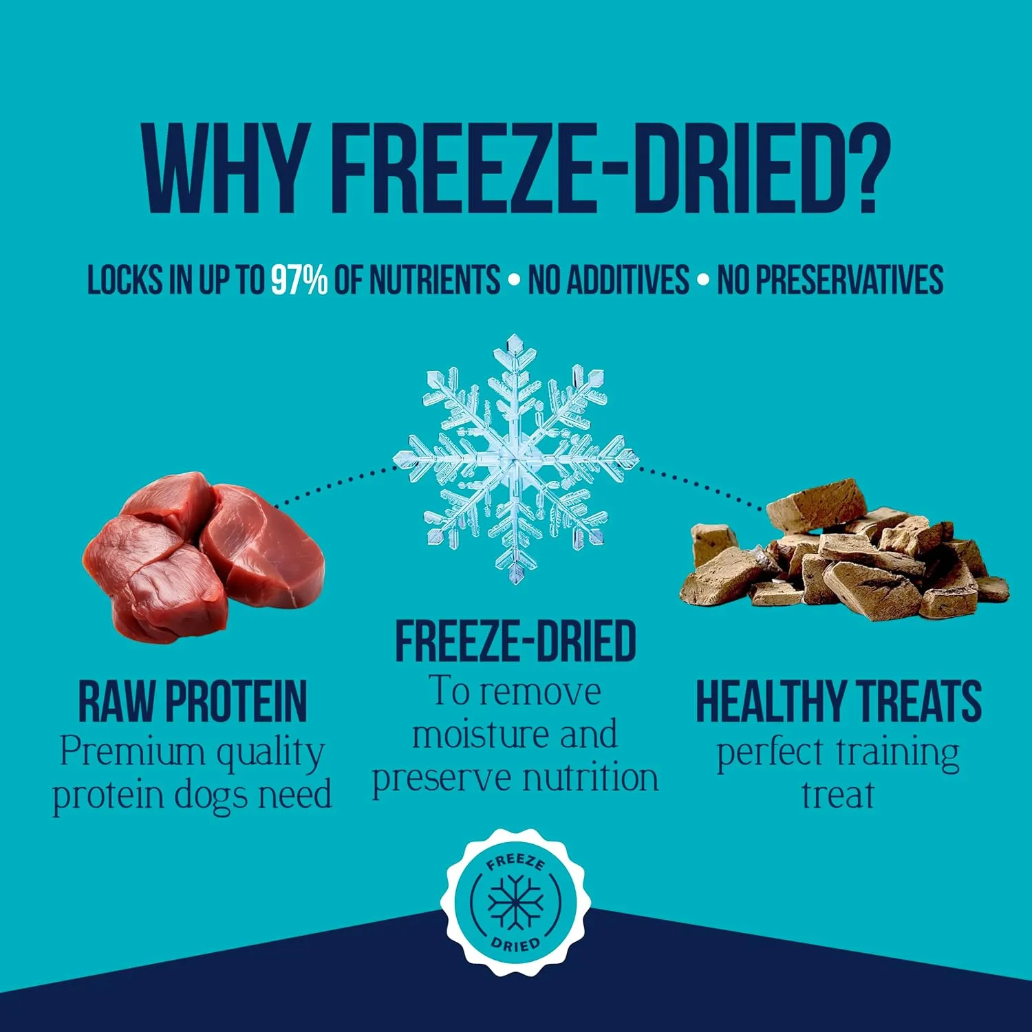 Stewart Single Ingredient Freeze Dried Raw Dog Treats, Beef Liver, 21 Ounce Value Size Resealable Tub, Training Treats or Meal Topper for All Size Dogs, High Protein, Grain-Free, Gluten-Free