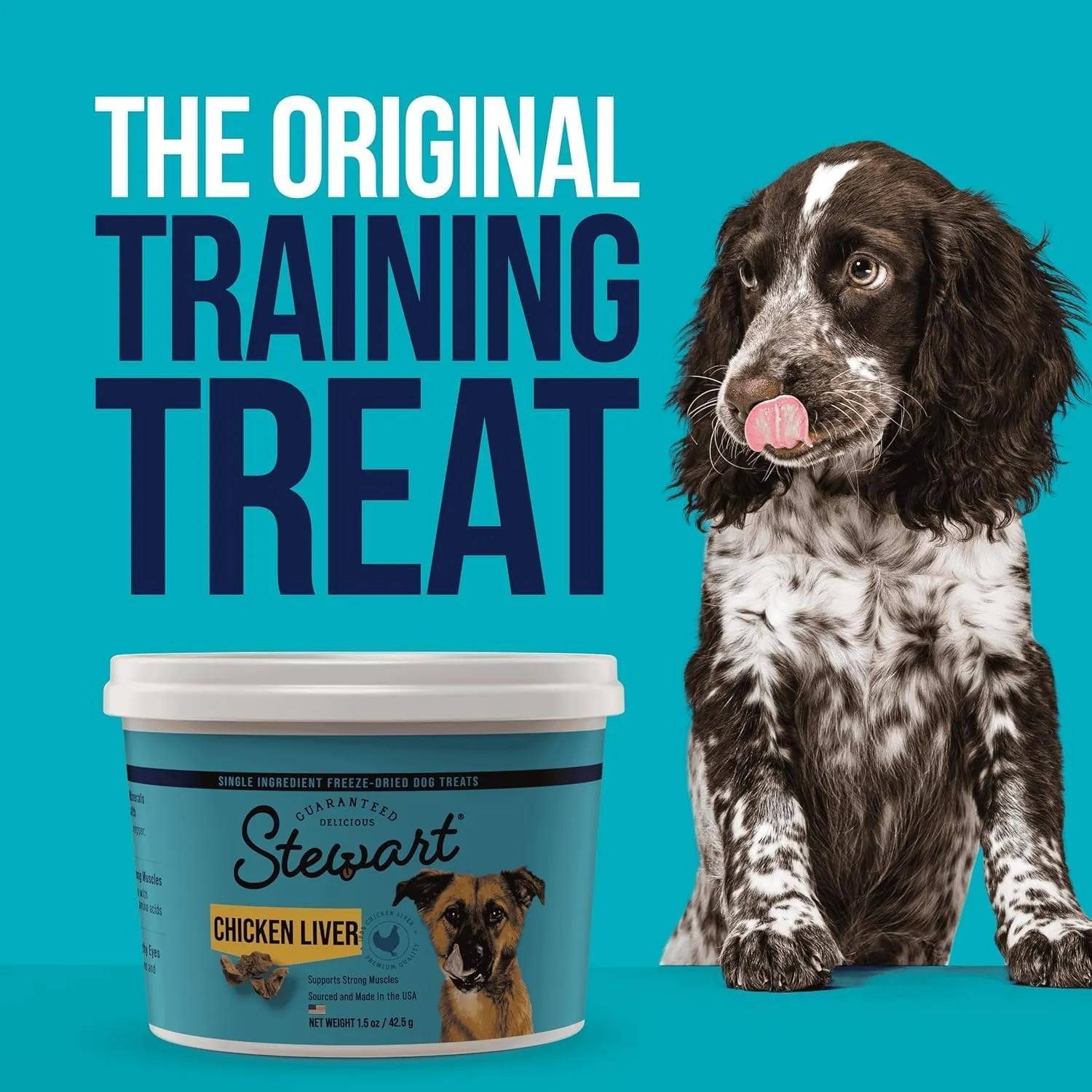 Stewart Single Ingredient Freeze Dried Raw Dog Treats, Chicken Liver, 16.8 Ounce Value Size Resealable Tub, Training Treats or Meal Topper for All Size Dogs, High Protein, Grain-Free, Gluten-Free
