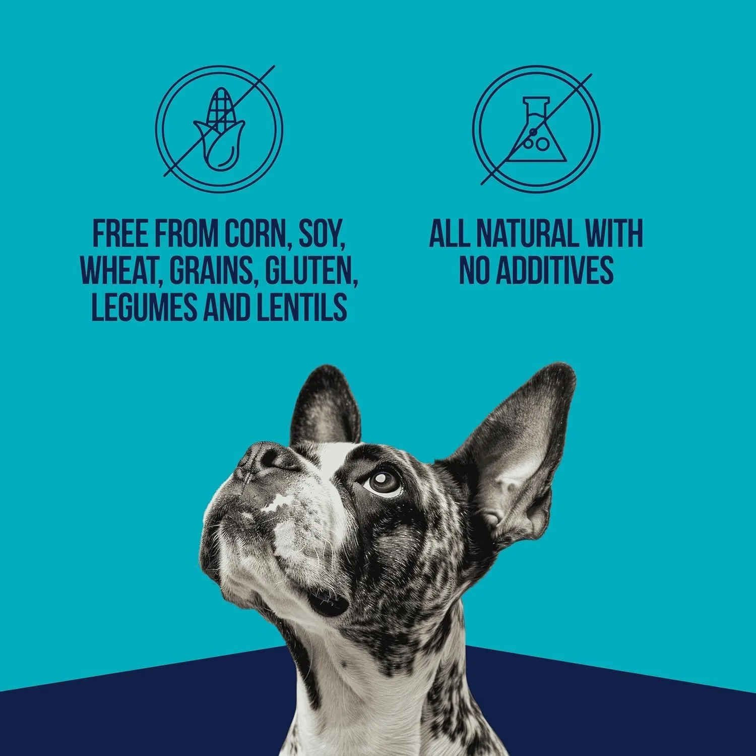 Stewart Single Ingredient Freeze Dried Raw Dog Treats, Chicken Liver, 16.8 Ounce Value Size Resealable Tub, Training Treats or Meal Topper for All Size Dogs, High Protein, Grain-Free, Gluten-Free