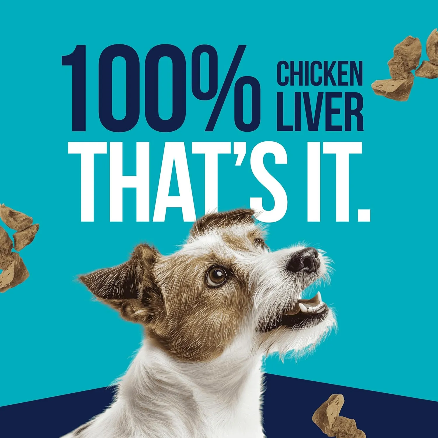 Stewart Single Ingredient Freeze Dried Raw Dog Treats, Chicken Liver, 16.8 Ounce Value Size Resealable Tub, Training Treats or Meal Topper for All Size Dogs, High Protein, Grain-Free, Gluten-Free